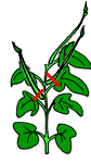 𐮗